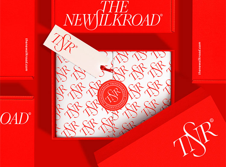 The New Silk Road貿易公司品牌VI設計